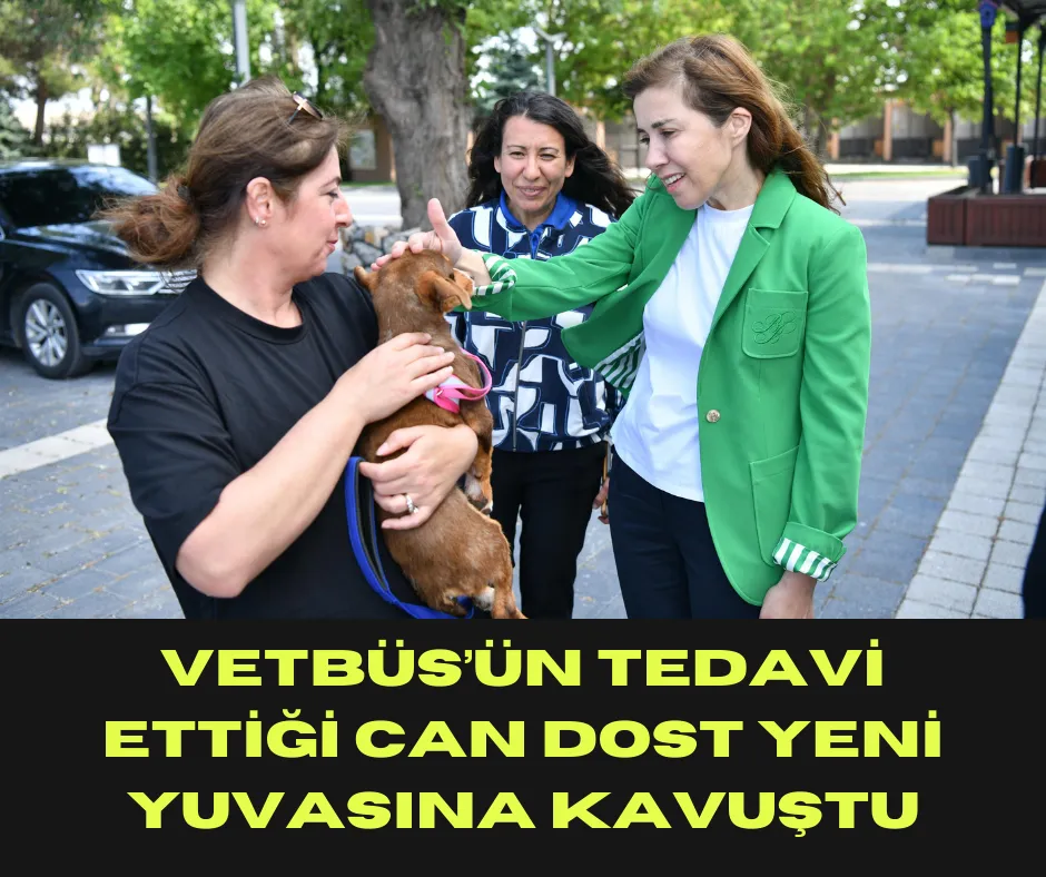 VETBÜS’ün Tedavi Ettiği Can Dost Yeni Yuvasına Kavuştu