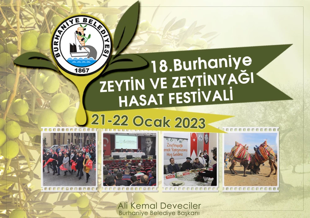 Burhaniye Zeytin Hasat Festivaline Geri Sayım Başladı