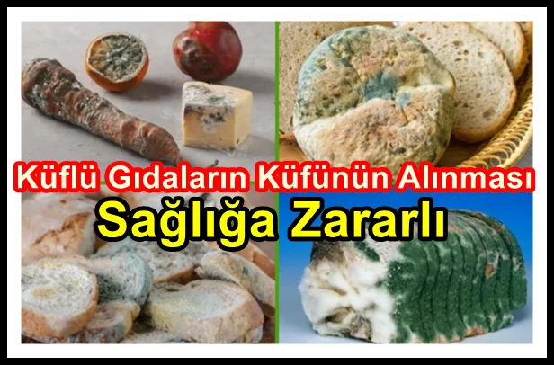 Küflü Gıdaların Küfünün Alınması Sağlığa Zararlı