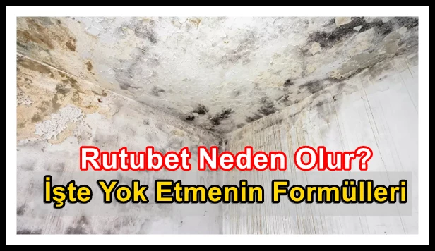 Rutubet Neden Olur? İşte Yok Etmenin Formülleri