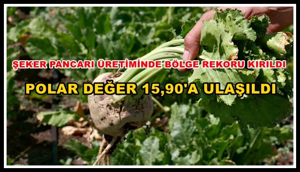 Şeker Pancarı Üretiminde Bölge Rekoru Kırıldı: 