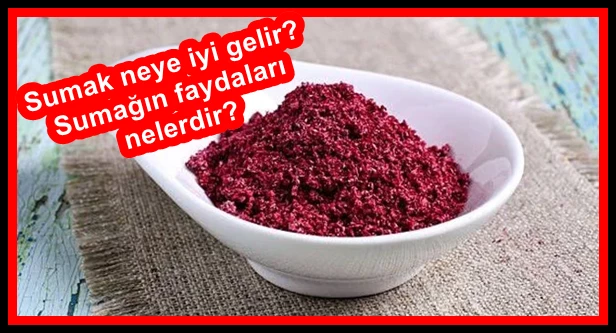 Sumak Neye İyi Gelir? Sumağın Faydaları Nelerdir?